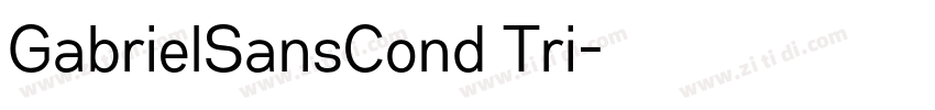 GabrielSansCond Tri字体转换